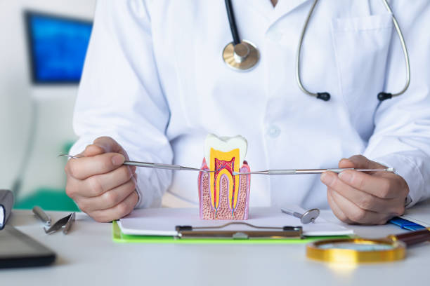Emergency Gum Pain Relief in MN